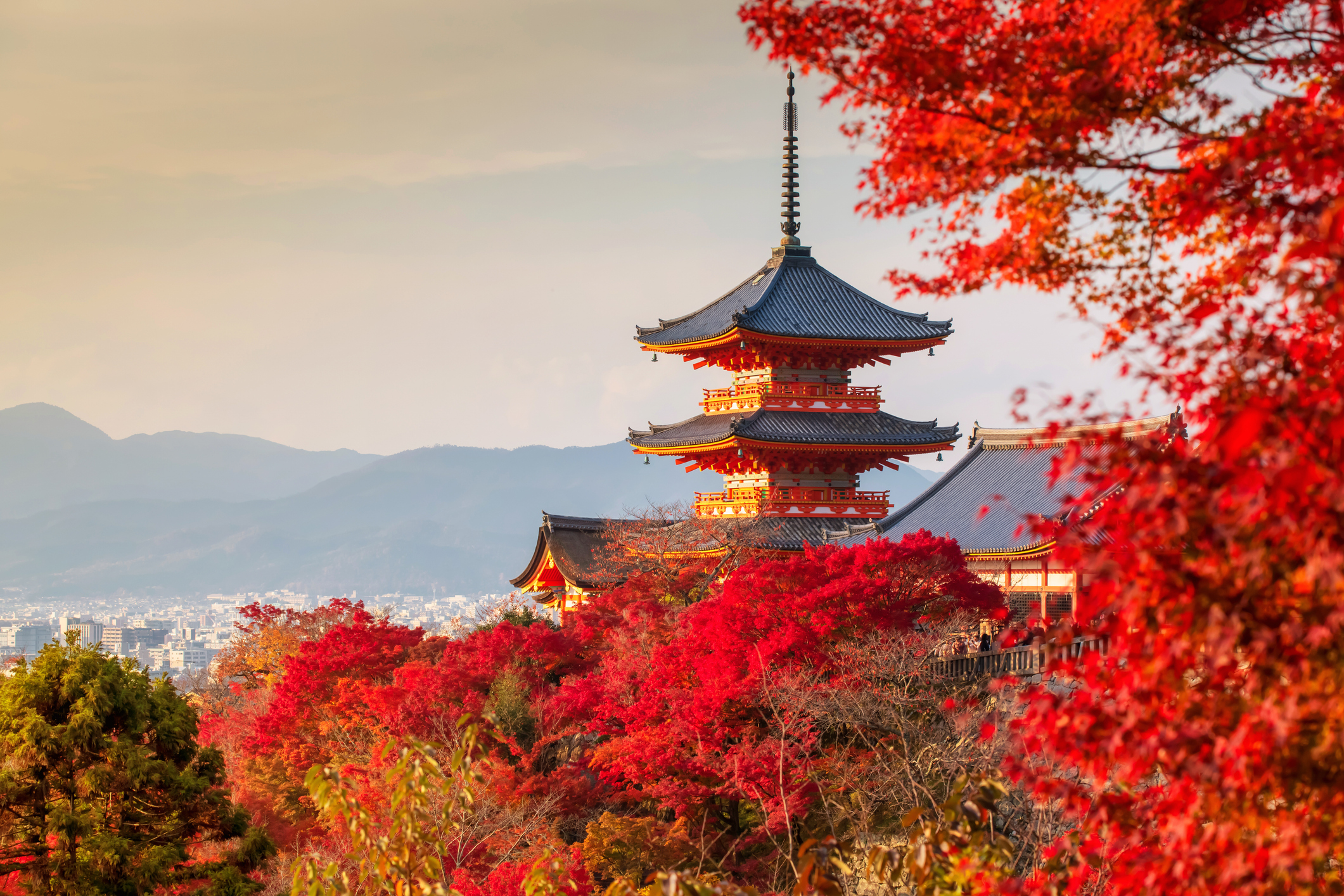 Honeymoon in Japan: Your Wonderful Journey Starts Here